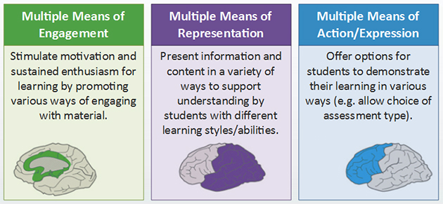 UDL Principles