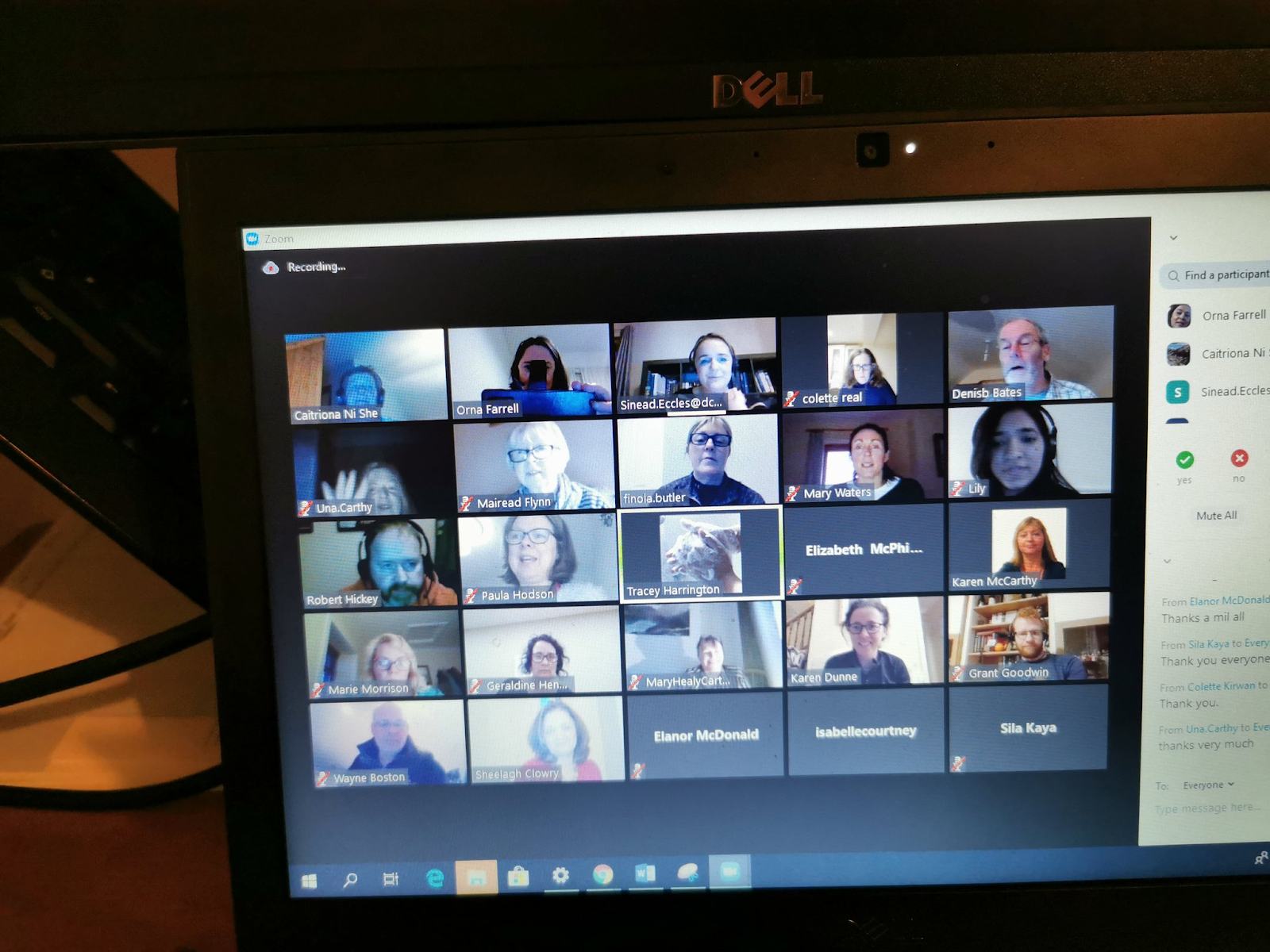 pasted image 0-4.png